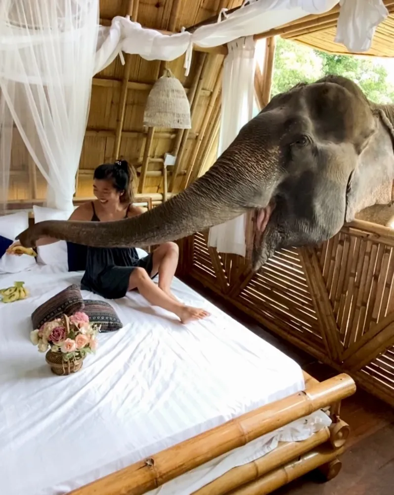 Chai Lai Orchid riverside bungalow in Chiang Mai