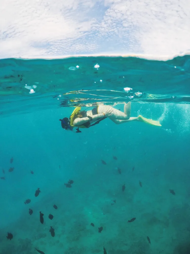 Snorkeling in Turtle Canyon